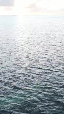 Tanzanya, dikey video - tekne, Zanzibar kıyısı yakınlarında okyanusta kayıklar, hava manzarası