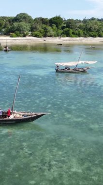 Tanzanya, dikey video - tekne, Zanzibar kıyısı yakınlarında okyanusta kayıklar, hava manzarası