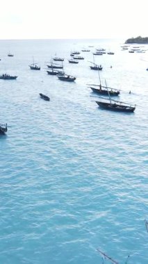 Tanzanya, dikey video - tekne, Zanzibar kıyısı yakınlarında okyanusta kayıklar, hava manzarası