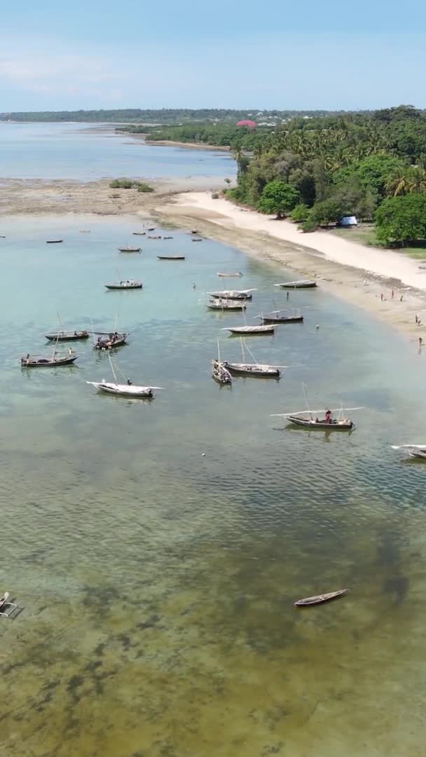 Tanzania, vídeo vertical - barco, barcos en el océano cerca de la costa de Zanzíbar, vista aérea — Vídeo de stock
