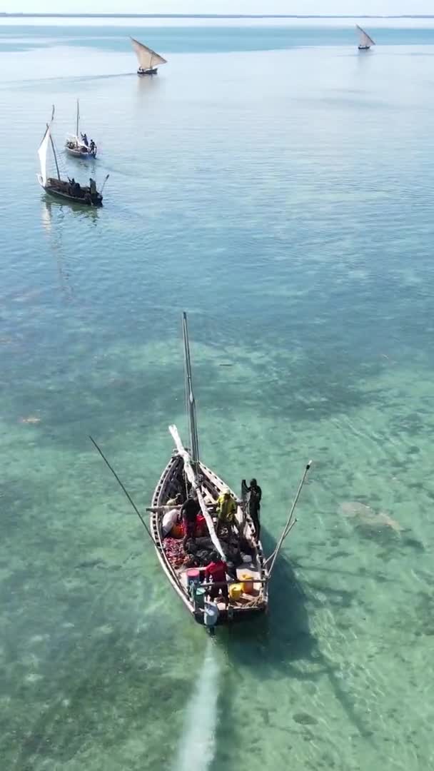 タンザニア,垂直ビデオ-ボート,ボート,ザンジバルの海岸近くの海の中のボート,空の景色 — ストック動画