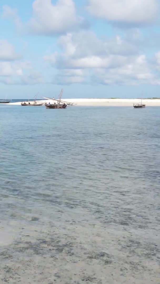 Tanzania, pionowe wideo - łódź, łodzie w oceanie przy wybrzeżu Zanzibaru, widok z lotu ptaka — Wideo stockowe