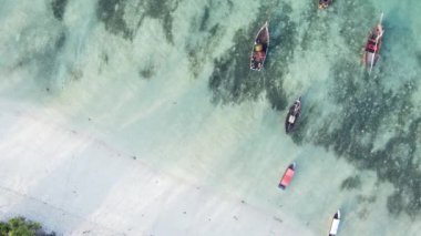 Tanzanya, dikey video - tekne, Zanzibar kıyısı yakınlarında okyanusta kayıklar, hava manzarası