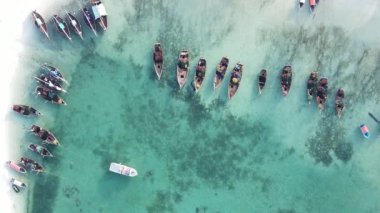 Tanzanya, dikey video - tekne, Zanzibar kıyısı yakınlarında okyanusta kayıklar, hava manzarası