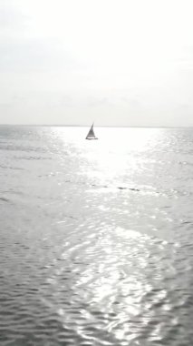 Tanzanya, dikey video - tekne, Zanzibar kıyısı yakınlarında okyanusta kayıklar, hava manzarası