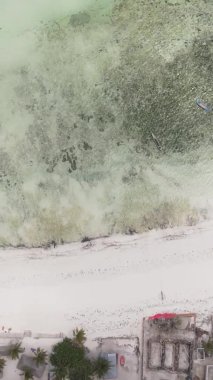 Zanzibar, Tanzanya - kıyıya yakın okyanusun dikey videosu, yavaş çekim