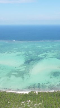 Zanzibar, Tanzanya - kıyıya yakın okyanusun dikey videosu, yavaş çekim