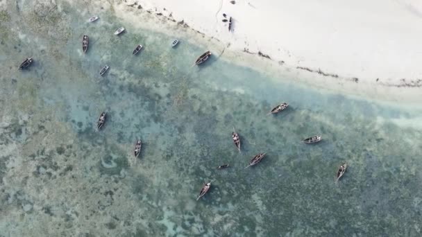 Zanzibar Tanzania Vertical Video Ocean Coast Slow Motion — Stock videók