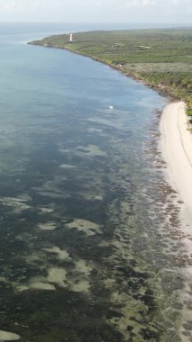 Zanzibar, Tanzanya - kıyıya yakın okyanusun dikey videosu, yavaş çekim