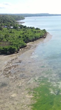 Zanzibar, Tanzanya - kıyıya yakın okyanusun dikey videosu, yavaş çekim