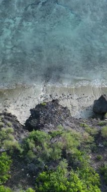 Zanzibar, Tanzanya - kıyıya yakın okyanusun dikey videosu, yavaş çekim
