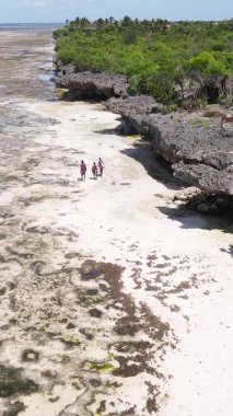 Zanzibar, Tanzanya - kıyıya yakın okyanusun dikey videosu, yavaş çekim