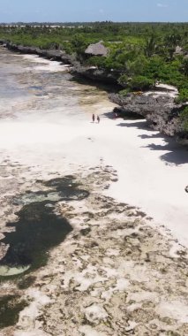 Zanzibar, Tanzanya - kıyıya yakın okyanusun dikey videosu, yavaş çekim