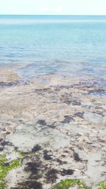Zanzibar, Tanzanya - kıyıya yakın okyanusun dikey videosu, yavaş çekim
