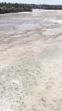 Zanzibar, Tanzania - vertical video of the ocean near the coast, slow motion