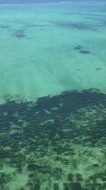 Zanzibar, Tanzania - vertical video of the ocean near the coast, slow motion