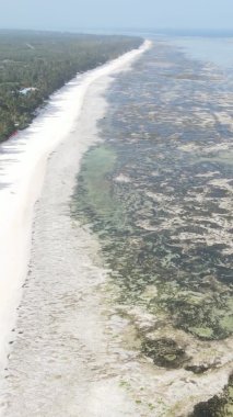 Zanzibar, Tanzanya - kıyıya yakın okyanusun dikey videosu, yavaş çekim
