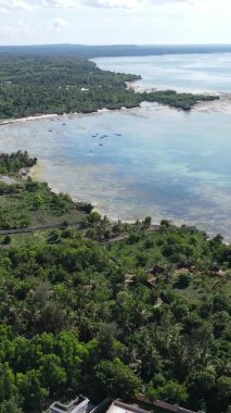 Zanzibar, Tanzanya - kıyıya yakın okyanusun dikey videosu, yavaş çekim
