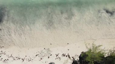 Zanzibar, Tanzanya - kıyıya yakın okyanusun dikey videosu, yavaş çekim