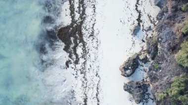 Zanzibar, Tanzania - vertical video of the ocean near the coast, slow motion