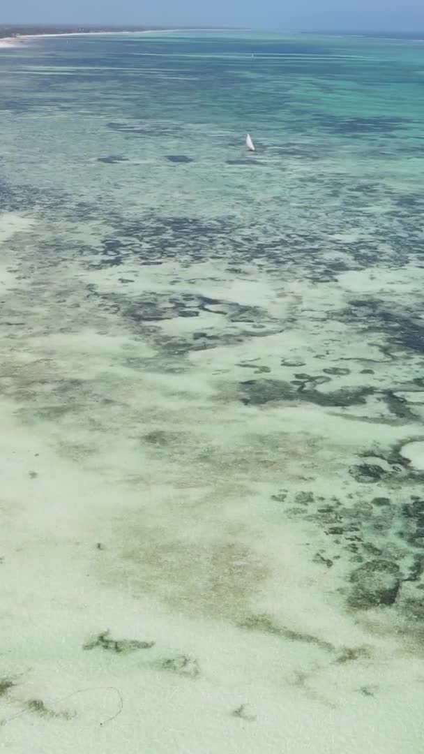 Zanzibar Tanzania Vertical Video Ocean Coast Slow Motion — ストック動画