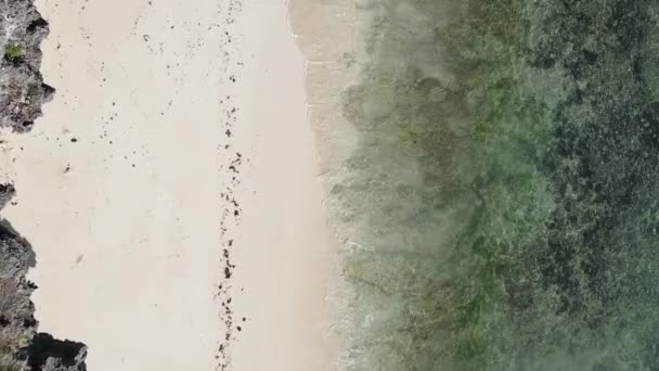 Занзибар Танзания Вертикальное Видео Океана Берега Замедленная Съемка — стоковое видео