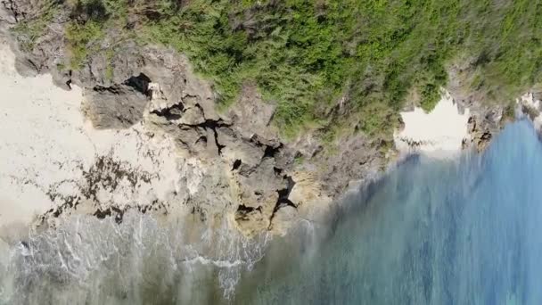 Zanzibar Tanzania Vertical Video Ocean Coast Slow Motion — Stock Video