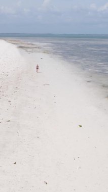 Zanzibar, Tanzanya - kıyıya yakın okyanusun dikey videosu, yavaş çekim