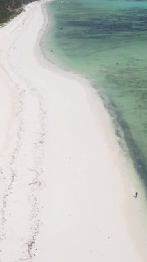 Zanzibar, Tanzanya - kıyıya yakın okyanusun dikey videosu, yavaş çekim