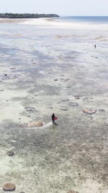 Zanzibar, Tanzania - vertical video of the ocean near the coast, slow motion