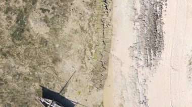 Zanzibar, Tanzanya - kıyıya yakın okyanusta alçak gelgitin dikey videosu, yavaş çekim