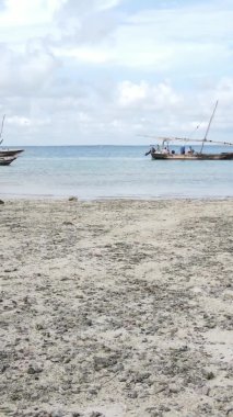 Zanzibar, Tanzanya - kıyıya yakın okyanusta alçak gelgitin dikey videosu, yavaş çekim