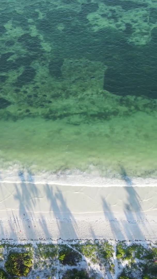 Zanzibar Tanzania Pionowy Dom Wideo Szczudłach Oceanie Wybrzeżu Zwolnione Tempo — Wideo stockowe