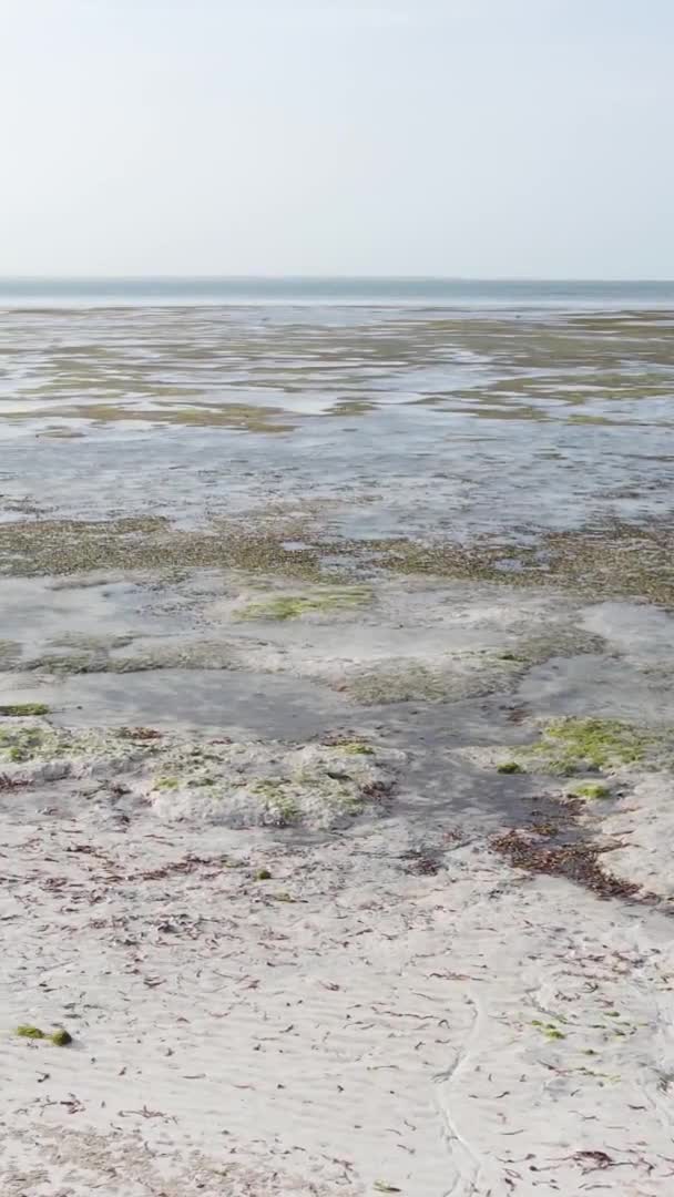 Zanzibar Tanzania Vertikal Video Lågvatten Havet Nära Kusten Slow Motion — Stockvideo