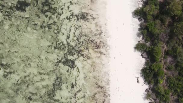 Zanzibar Tanzania Video Verticale Della Bassa Marea Nell Oceano Vicino — Video Stock