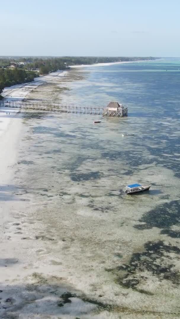 Zanzibar Tanzania Video Verticale Della Bassa Marea Nell Oceano Vicino — Video Stock