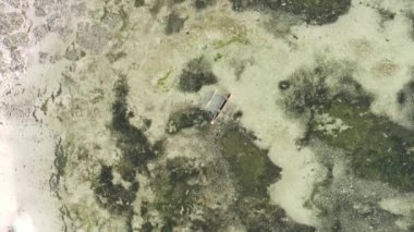 Zanzibar, Tanzanya - kıyıya yakın okyanusta alçak gelgitin dikey videosu, yavaş çekim
