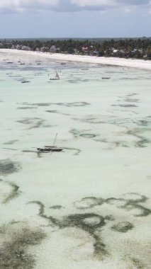 Zanzibar, Tanzanya - kıyıya yakın okyanusta alçak gelgitin dikey videosu, yavaş çekim