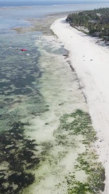 Zanzibar, Tanzanya - kıyıya yakın okyanusta alçak gelgitin dikey videosu, yavaş çekim