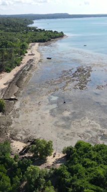 Zanzibar, Tanzanya - kıyıya yakın okyanusta alçak gelgitin dikey videosu, yavaş çekim