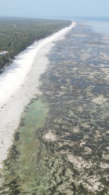 Zanzibar, Tanzanya - kıyıya yakın okyanusta alçak gelgitin dikey videosu, yavaş çekim