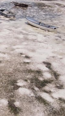Zanzibar, Tanzanya - kıyıya yakın okyanusta alçak gelgitin dikey videosu, yavaş çekim