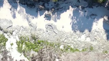 Zanzibar, Tanzanya - kıyıya yakın okyanusta alçak gelgitin dikey videosu, yavaş çekim