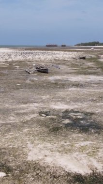 Zanzibar, Tanzanya - kıyıya yakın okyanusta alçak gelgitin dikey videosu, yavaş çekim