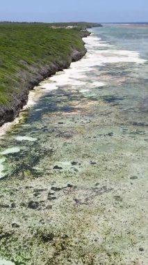 Zanzibar, Tanzanya - kıyıya yakın okyanusta alçak gelgitin dikey videosu, yavaş çekim