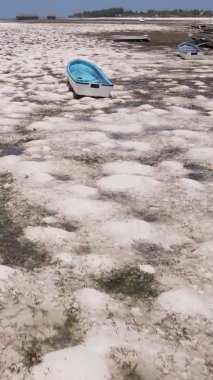 Zanzibar, Tanzanya - kıyıya yakın okyanusta alçak gelgitin dikey videosu, yavaş çekim
