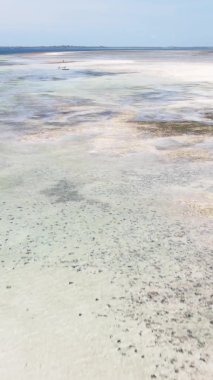 Zanzibar, Tanzanya - kıyıya yakın okyanusta alçak gelgitin dikey videosu, yavaş çekim
