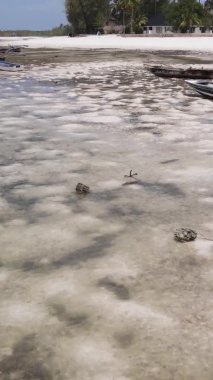 Zanzibar, Tanzanya - kıyıya yakın okyanusta alçak gelgitin dikey videosu, yavaş çekim