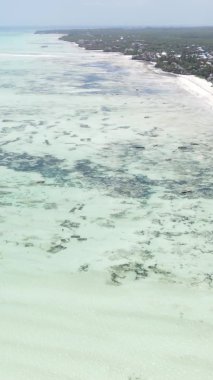 Zanzibar, Tanzanya - kıyıya yakın okyanusta alçak gelgitin dikey videosu, yavaş çekim
