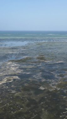Zanzibar, Tanzanya - kıyıya yakın okyanusta alçak gelgitin dikey videosu, yavaş çekim